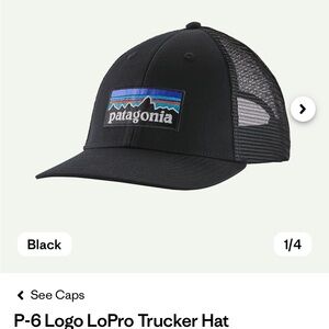 Patagonia Black Trucker Hat